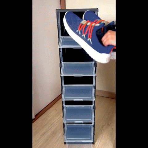 Pecueca por toda la casa? Zapatero Negro 6 puestos